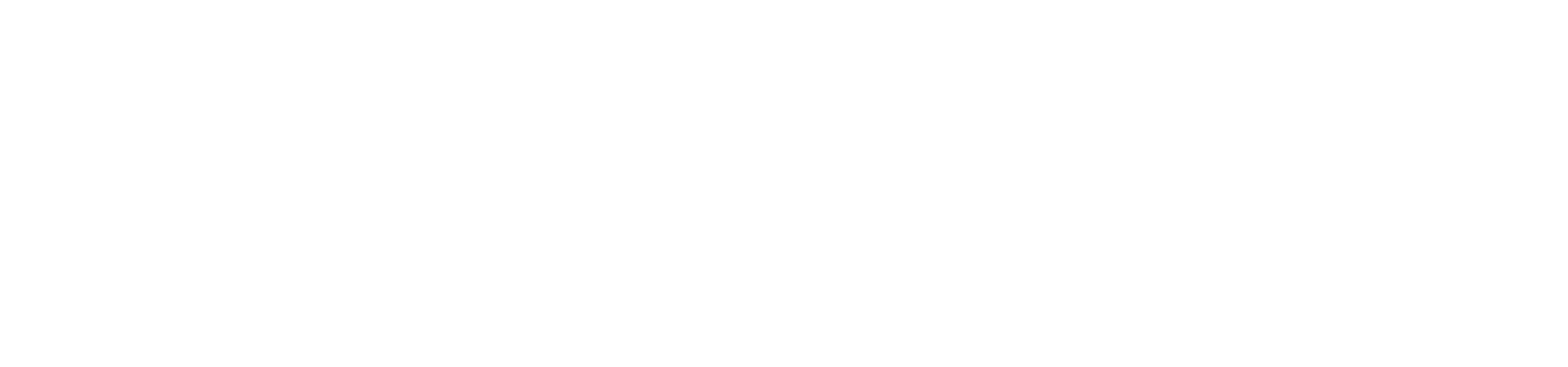 Lightspeed Commerce