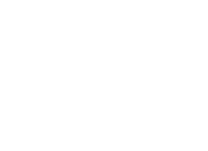 Mycology Brothers