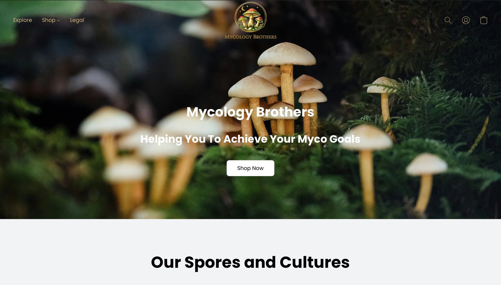 Mycology Brothers website preview
